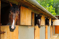 free Mostyn stable construction quotes